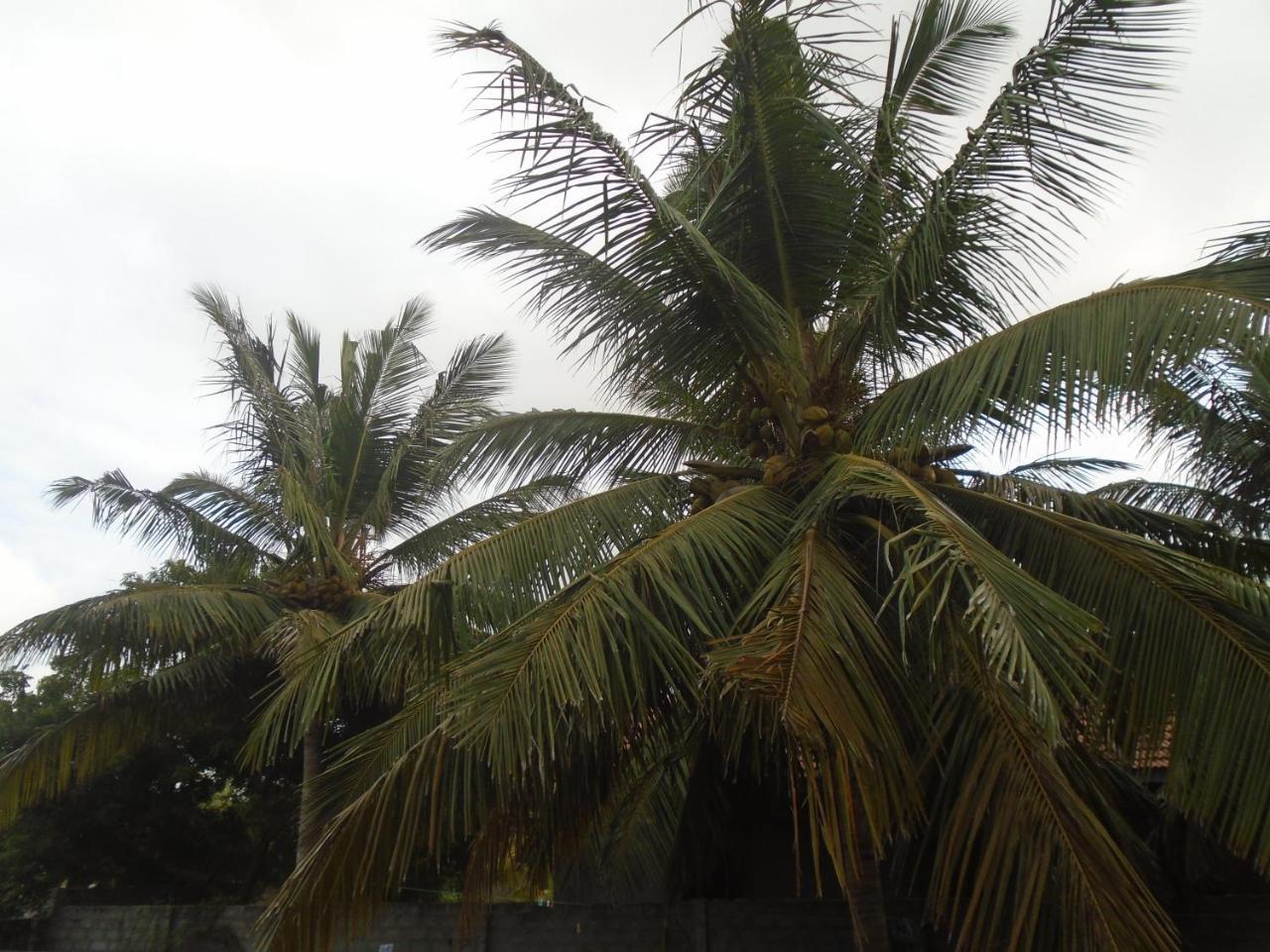 El Shaddai Hotel Mannar Exterior foto