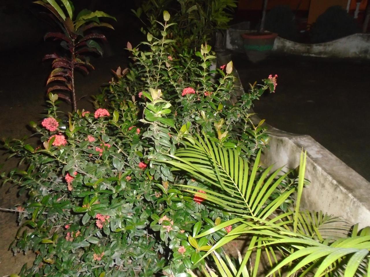 El Shaddai Hotel Mannar Exterior foto